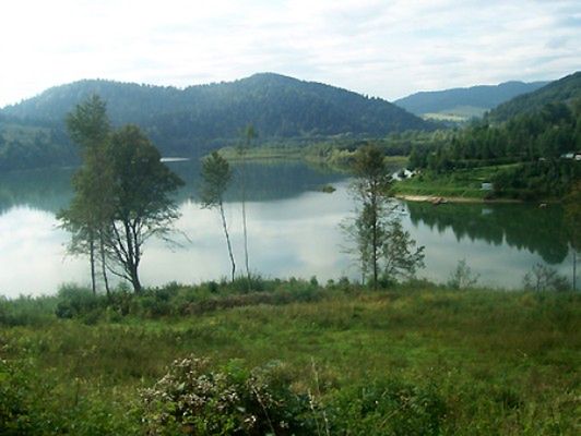 Obraz