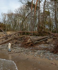 Konsekwencja zmian klimatu. "Lód będzie zjawiskiem coraz rzadszym"
