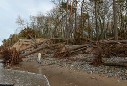 Konsekwencja zmian klimatu. "Lód będzie zjawiskiem coraz rzadszym"