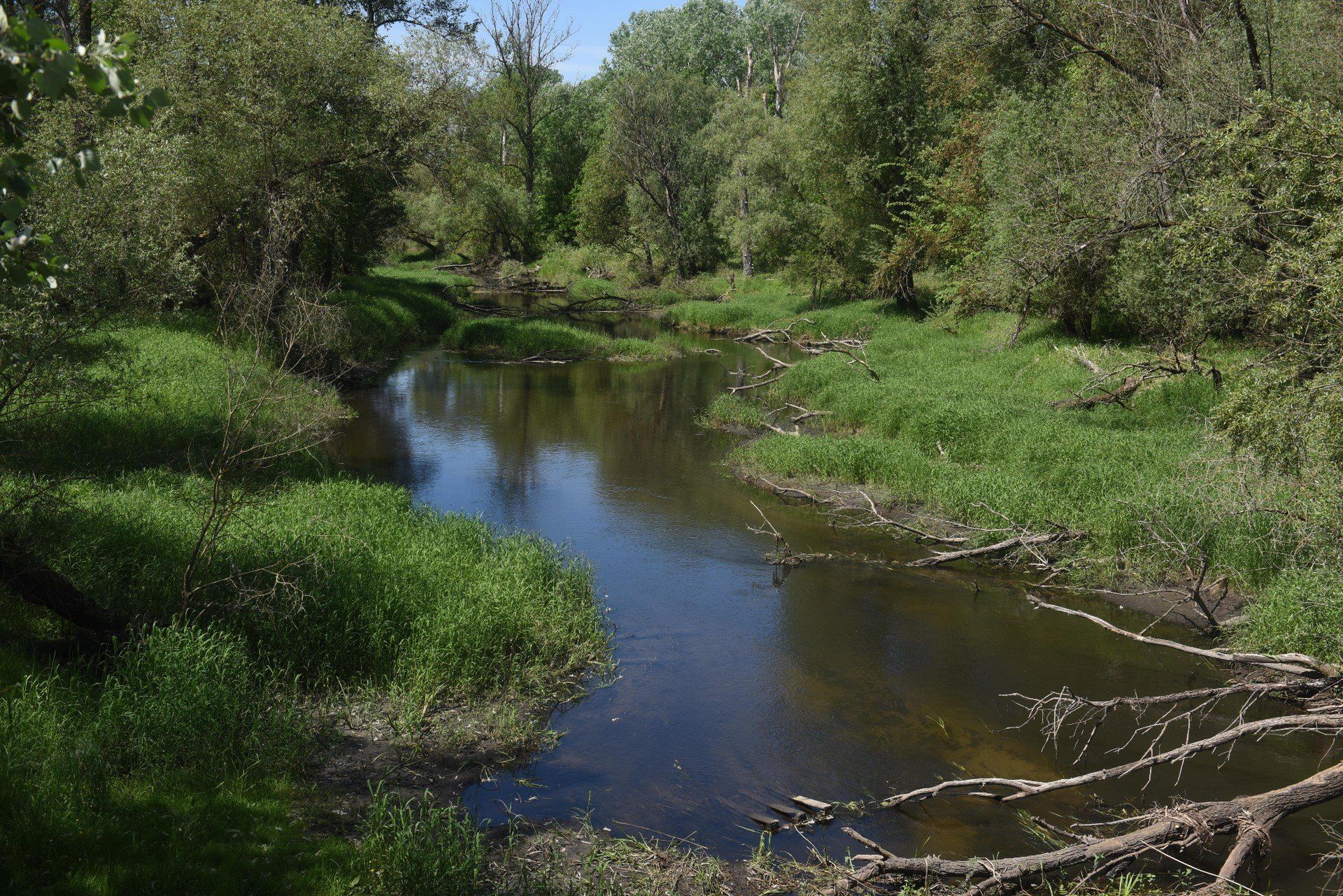 Przygotowaliśmy zbiór najpiękniejszych rezerwatów i parków w Wielkopolsce. Idealnych na długi spacer. Sprawdź nasze propozycje, klikając w fotografie i przesuwając palcem na kolejne zdjęcie.