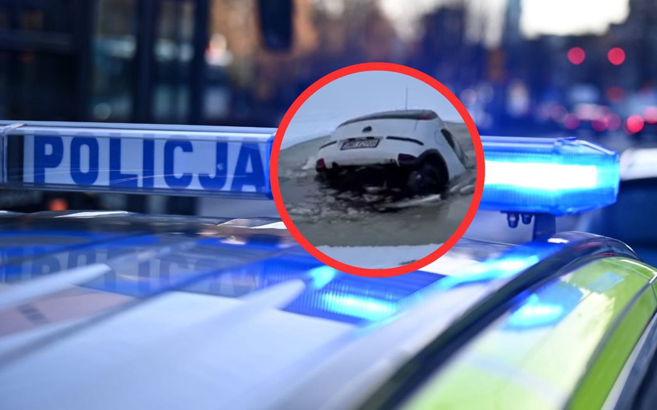 Nagranie z Wodzisławia. To nie fake. Służby ruszą nad staw