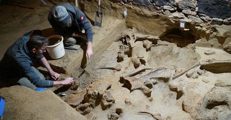 Archeologiczna sensacja. Znalezisko może mieć nawet 40 tys. lat