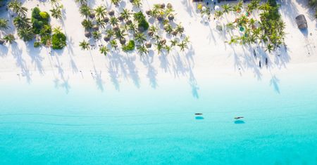 Kłopoty Pili Pili. Miał być urlop na Zanzibarze. Jest zamieszanie