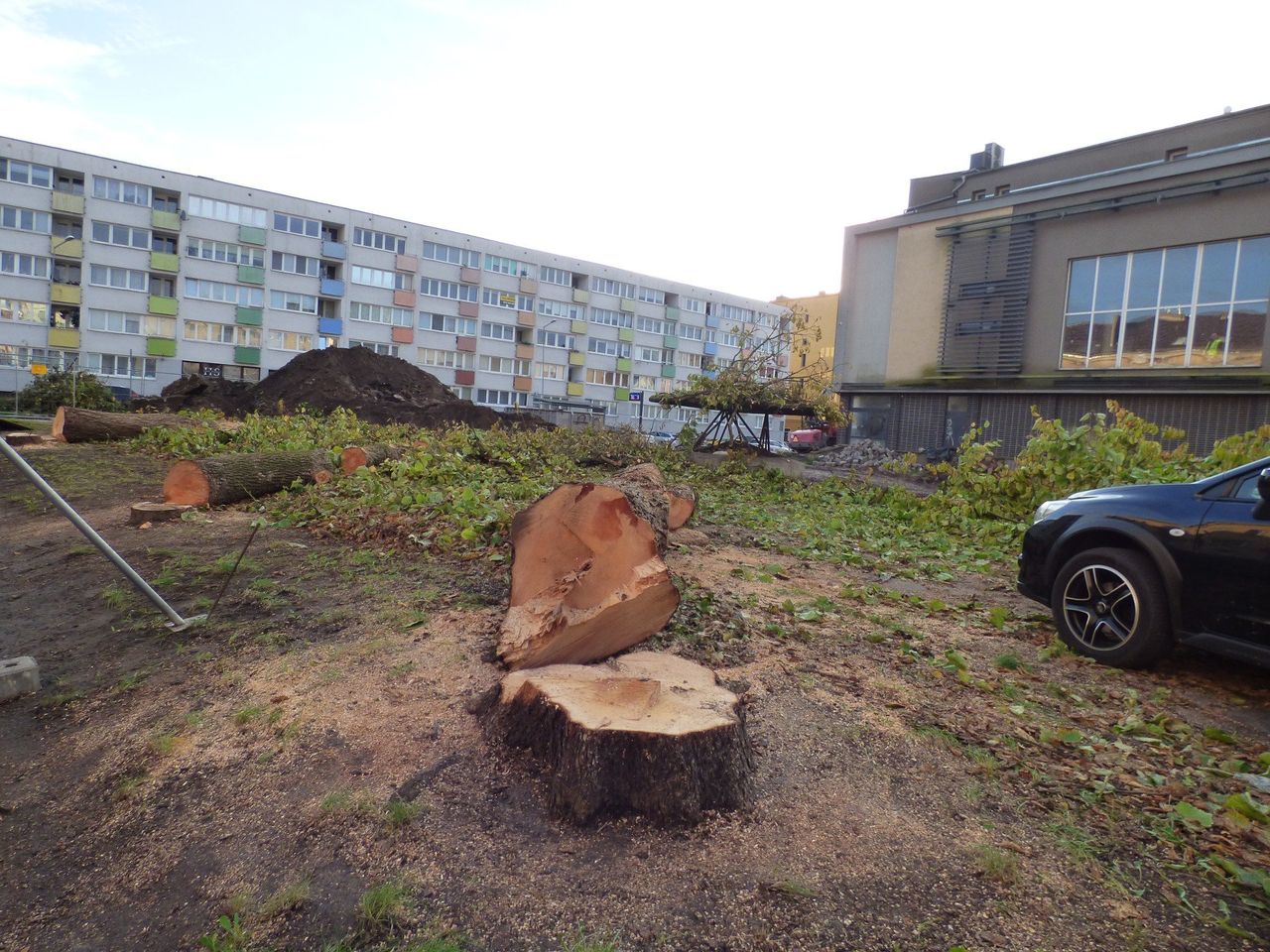Słupsk: Kontrowersje wokół wycinki drzew przy ulicy Piekiełko. "Krajobraz się zmienił"