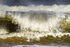 Naukowcy z Göteborga zdumieni. Nagłe odkrycie w Bałtyku