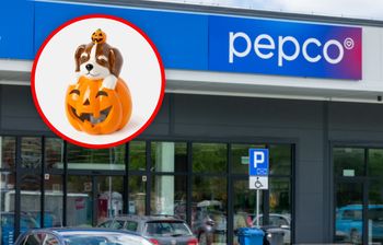 Halloween w Pepco. Akcesoria i dekoracje od 3,50 zł za sztukę