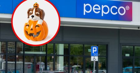 Halloween w Pepco. Akcesoria i dekoracje od 3,50 zł za sztukę