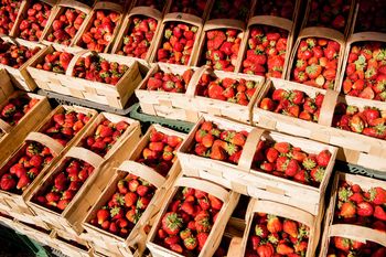 Truskawki tak drogie, że nawet Niemcy są zaskoczeni. "Nie kupiłbym"