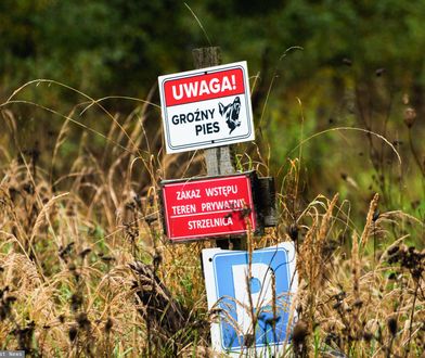 Właściciel psów, które pogryzły 46-latka zatrzymany