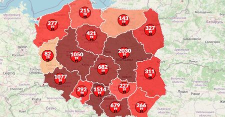 Koronawirus w Polsce i na świecie. Mapa pokazuje rosnącą liczbę zakażeń