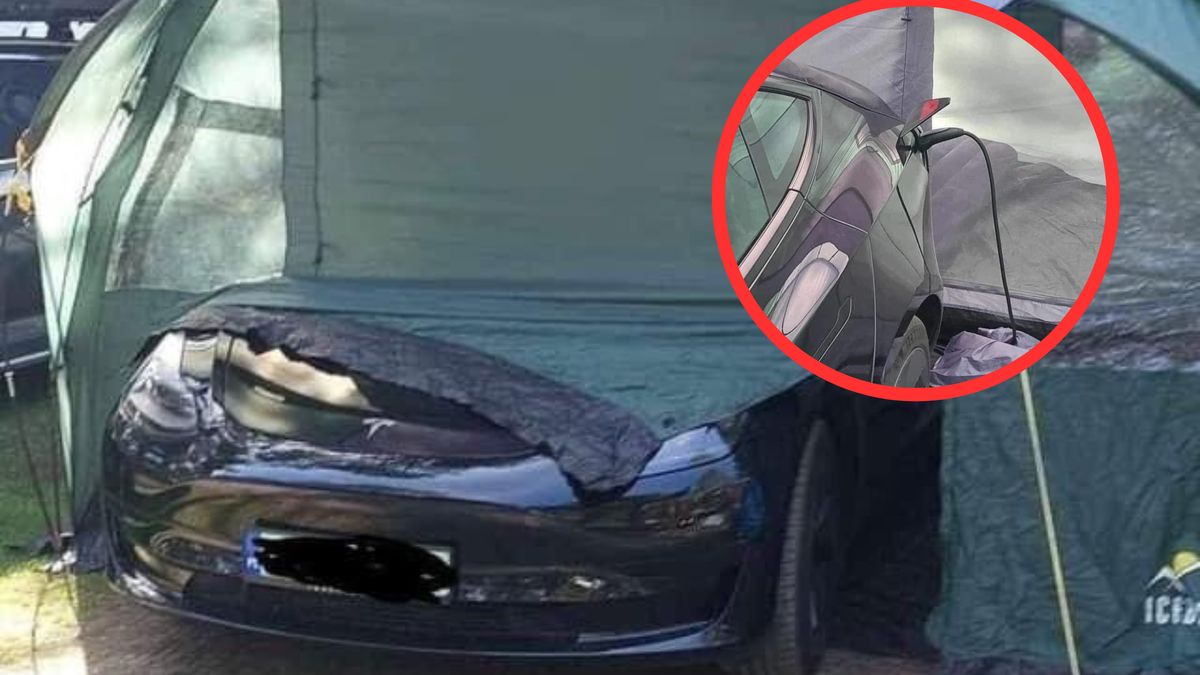Absurdalna sytuacja na kempingu z Teslą w roli głównej