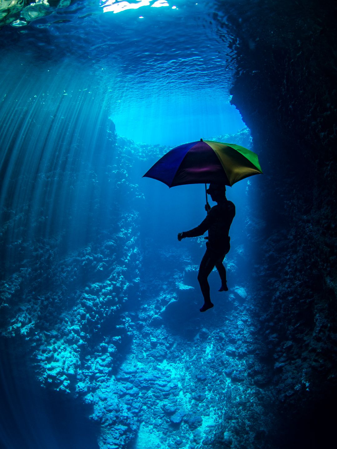 Znamy zwycięzców pierwszego konkursu fotograficznego ZEISS Photography Award “Seeing Beyond” 9
