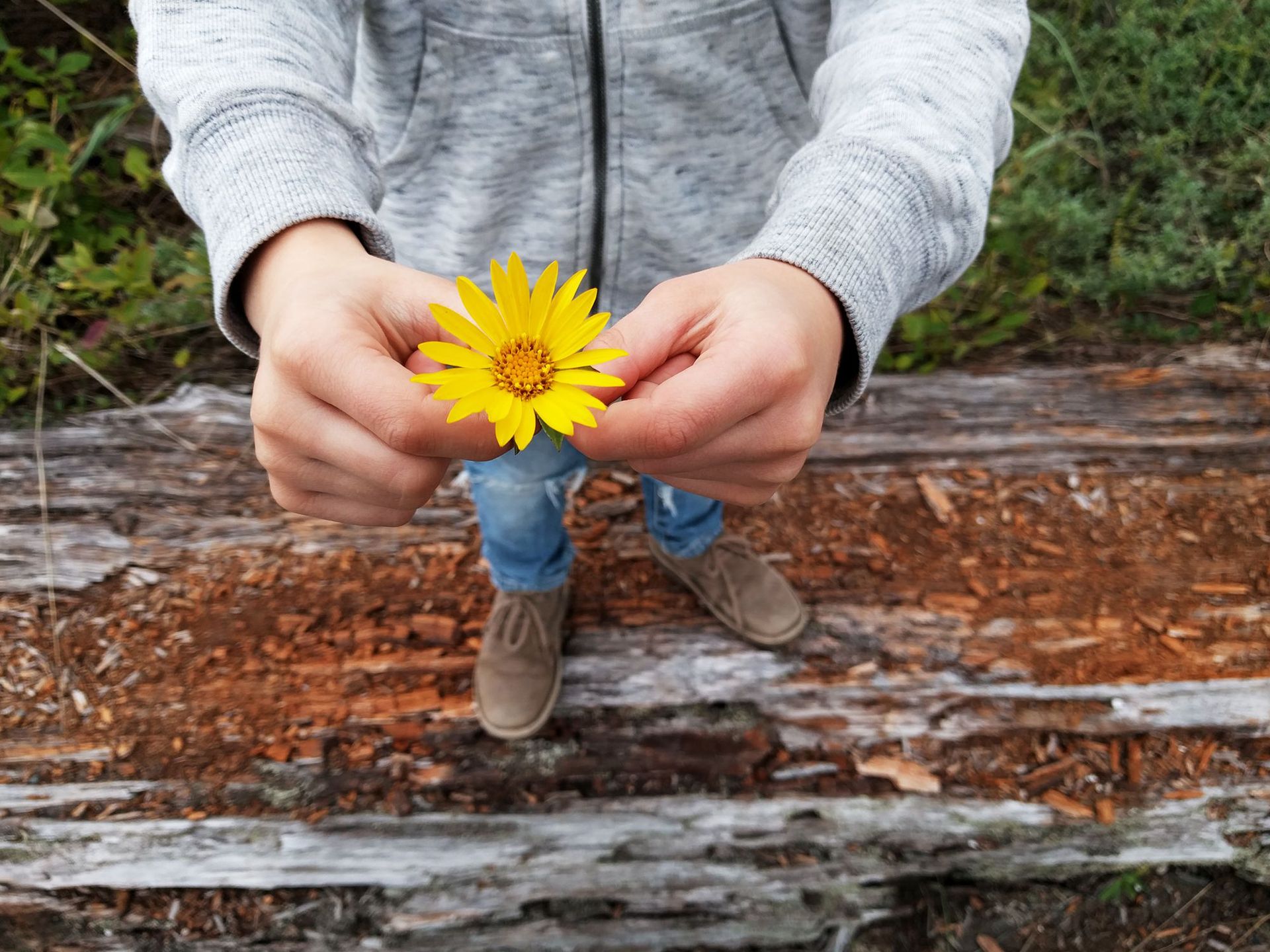 DxOMark: Nexus 6P jest jednym z najlepszych fotograficznych smartfonów na rynku! 4