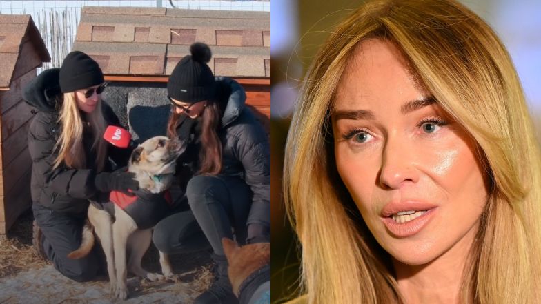 Razem z Joanną Przetakiewicz odwiedziliśmy schronisko dla zwierząt w Kruszewie. Celebrytka APELUJE do Polaków