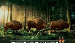 „Żubr idzie za Żubrem” ulubioną reklamą, kampania Play najpopularniejsza (wideo)