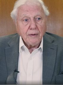 4-latek zapytał Davida Attenborougha, czy ludzkość wyginie... i dostał odpowiedź