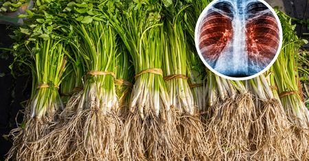 Najzdrowsze warzywo świata. Zbija cholesterol, chroni przed rakiem płuc
