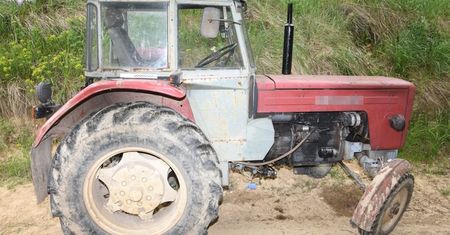 Zauważył coś niepokojącego. Dokonał makabrycznego odkrycia