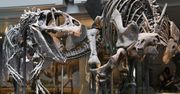 Szczątki dinozaurów znalezione w Afryce ujawniają zaskakujący fakt. Hydroazury pokonały oceany