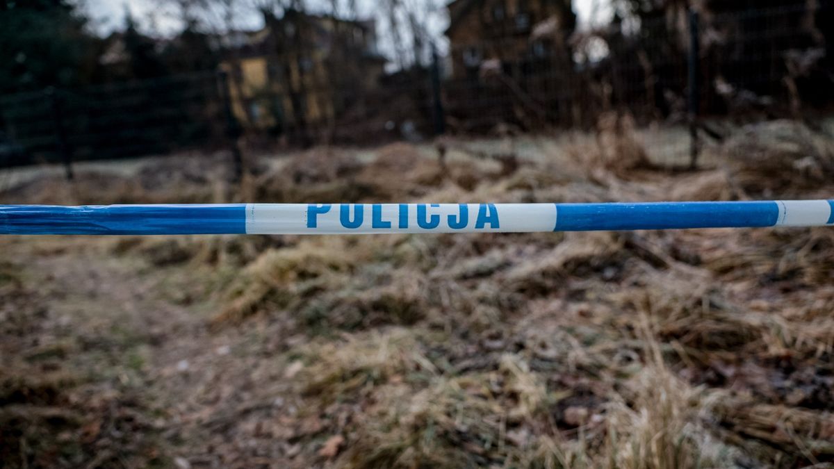 Świadek bójki nastolatek to osoba dorosła