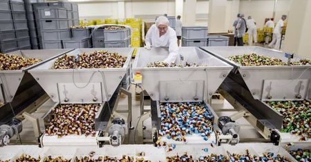 „Pszczółka” zmieni profil i będzie produkować dla wojska. Rząd zapewnia: nie ma planów prywatyzacji