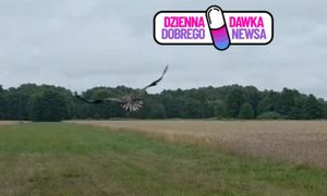 Znaleźli ją w fatalnym stanie. Dziś znów jest wolna