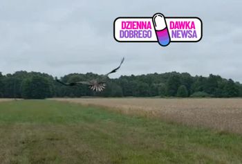 Znaleźli ją w fatalnym stanie. Dziś znów jest wolna