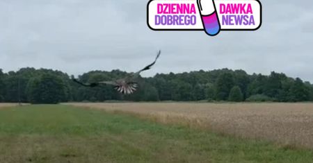 Znaleźli ją w fatalnym stanie. Dziś znów jest wolna