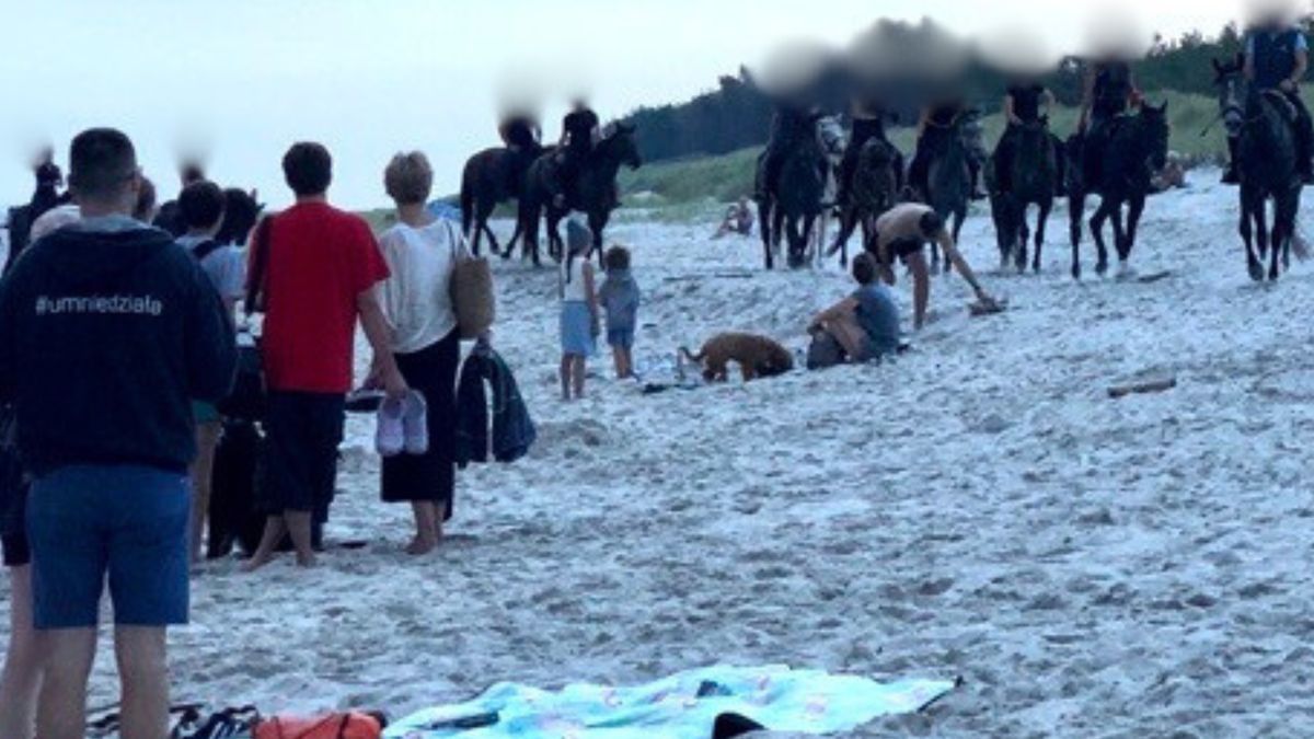 Rajdy na koniach organizowane są po plaży, ale nie wszystkim się to podoba