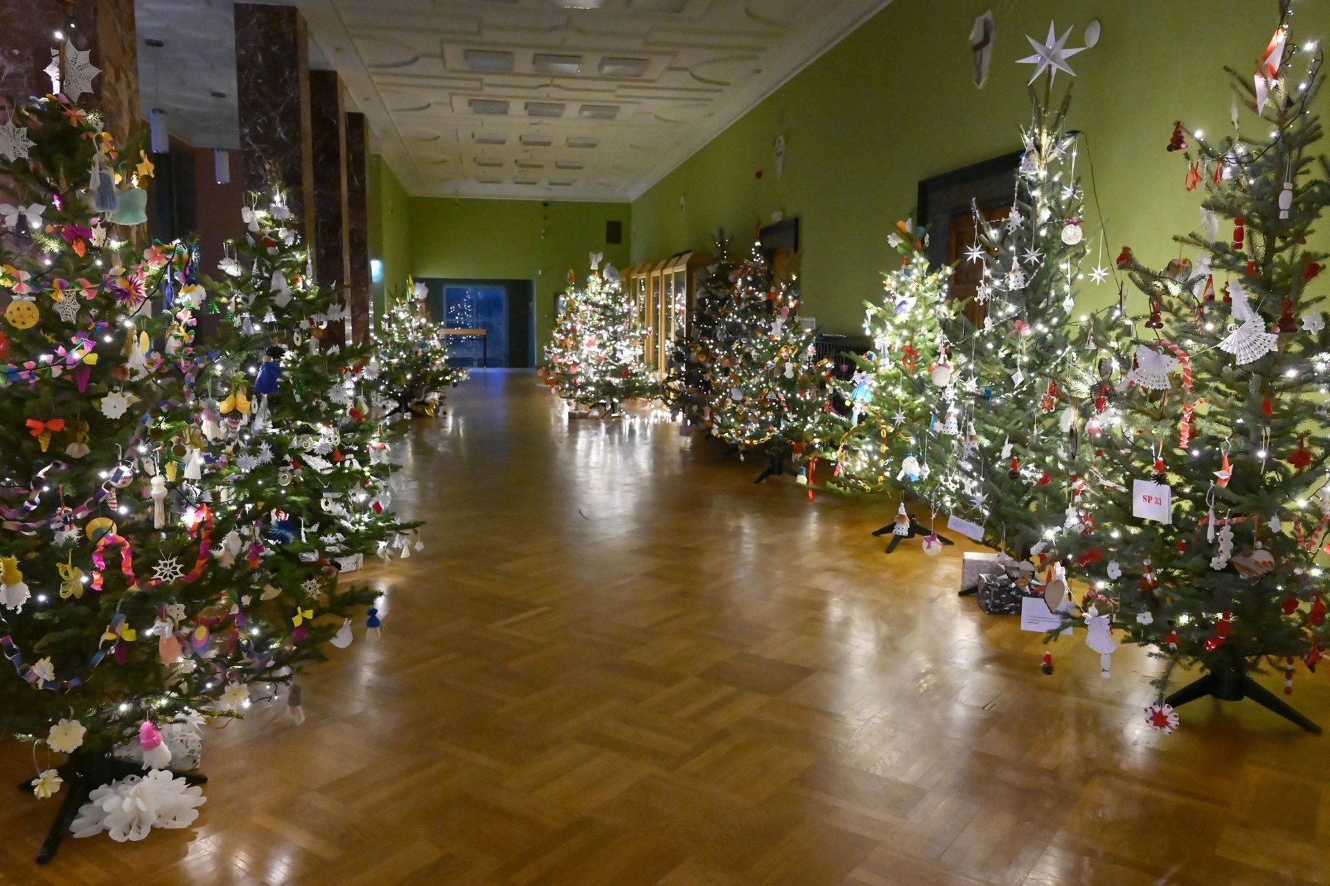 W korytarzu ustawione są ubrane choinki.