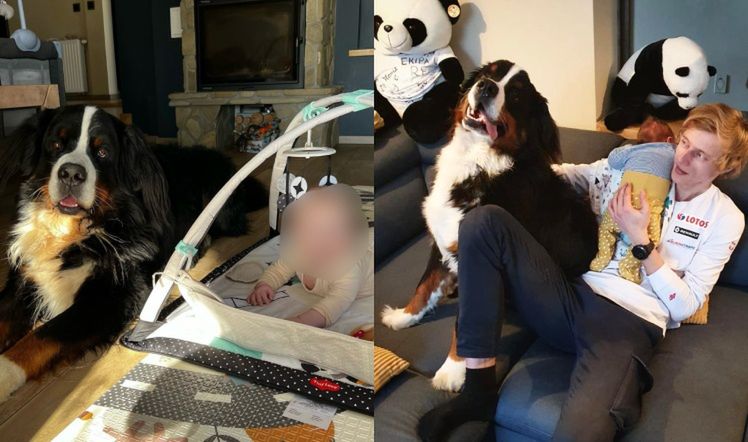 Tak mieszkają Dawid i Marta Kubaccy