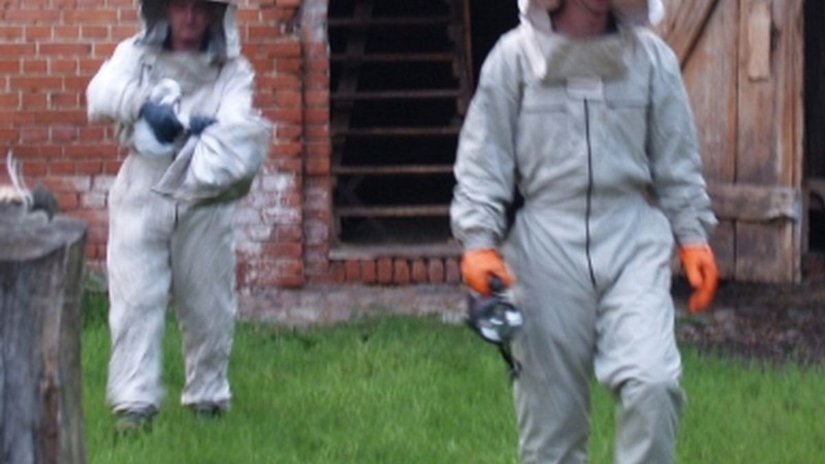 Zdjęcie ilustracyjne.