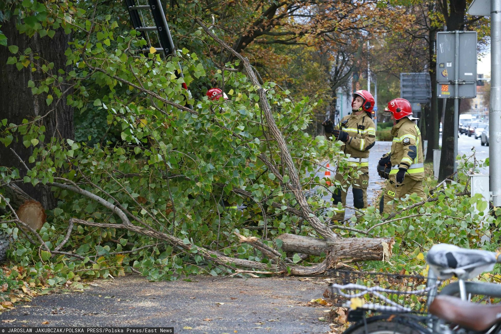 Silna burza w Warszawie. Wiatr spowodował szkody