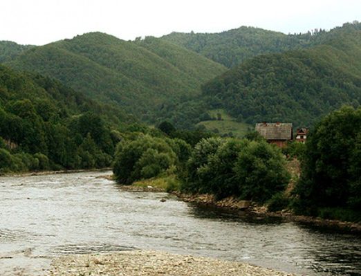 Obraz