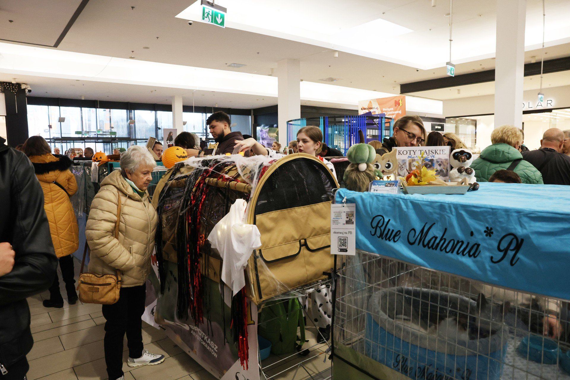 Pokaz kotów w M1 Czeladź