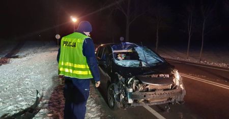 Groźny wypadek z udziałem łosia. Pasażerka nissana trafiła do szpitala