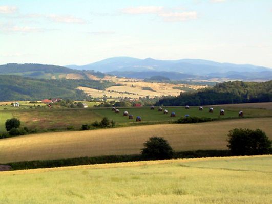 Obraz