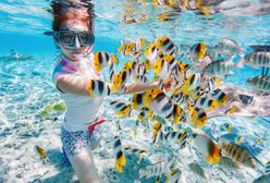 Znasz snorkeling? Podwodna rozrywka dla całej rodziny