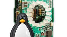 Jak policzyć pingwiny? 1