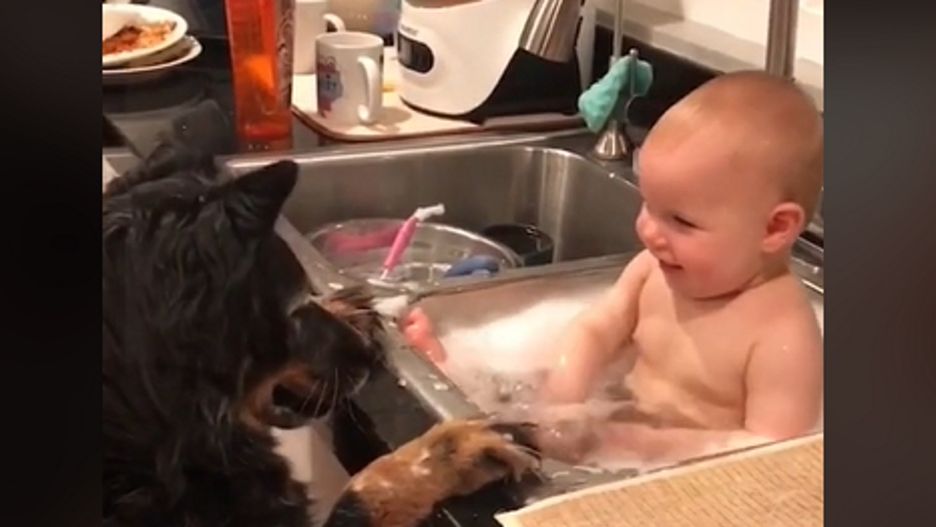 Internauci wytknęli kobiecie brak higieny