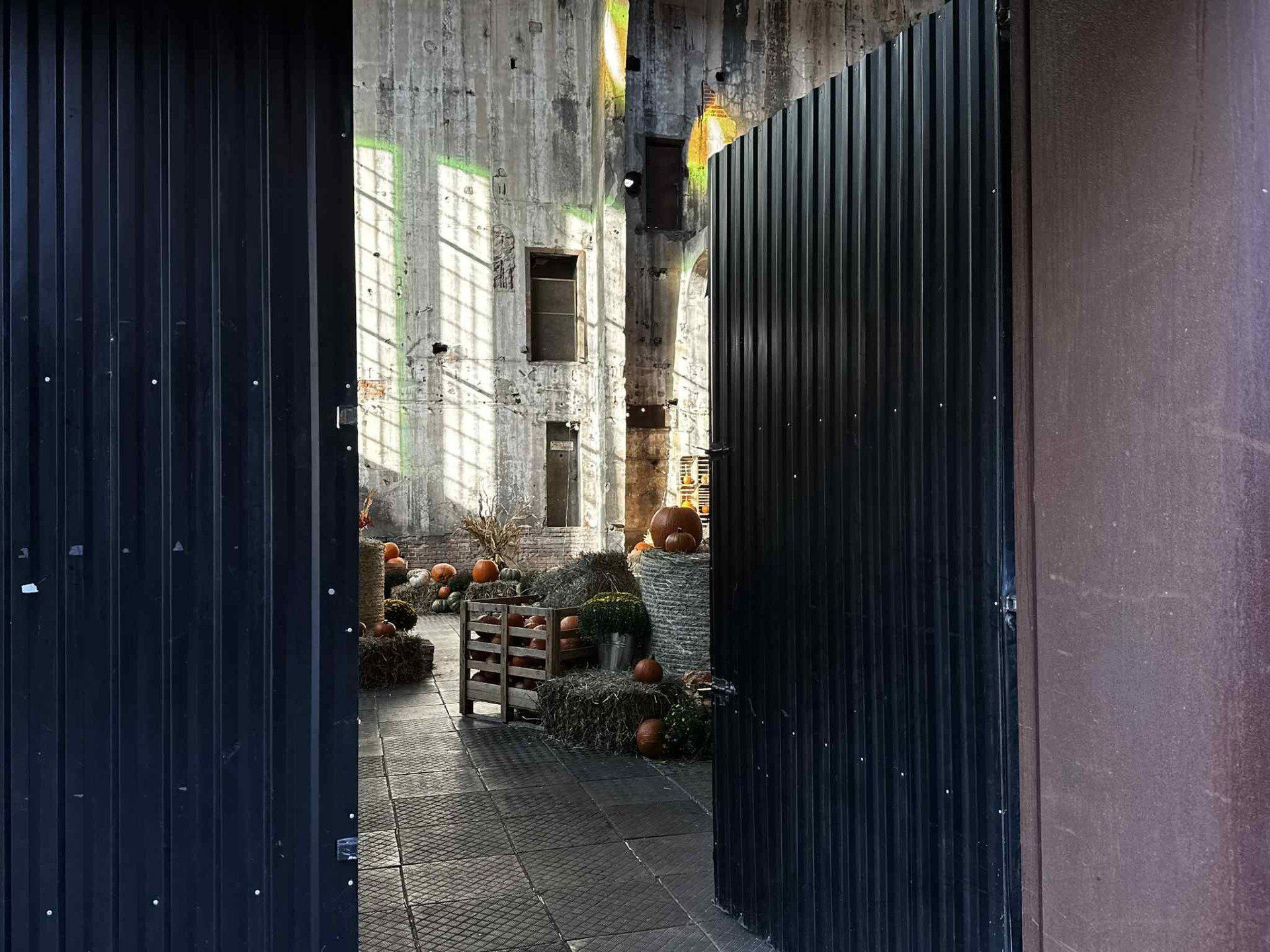 fuzja lodz, farma dyń, kotłownia