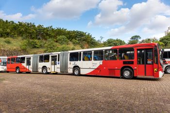 Włocławek: Po ulicach znów będą jeździć autobusy przegubowe! Wrócą po 25 latach