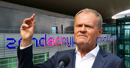 "Teraz już wiemy". Tusk zabrał głos ws. Zondacrypto