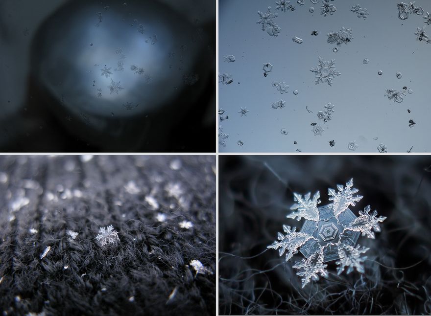 Niskobudżetowa fotografia makro Alexeya Kljatova 13