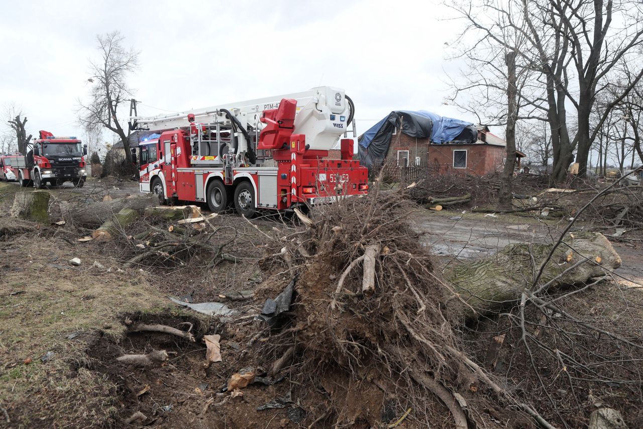 Tragiczne skutki wichur nad Polską. Wiatr tak silny, że przewraca drzewa i samochody