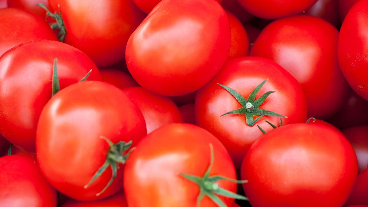 Kupił pomidory w cenie jabłek. Szybko pożałował