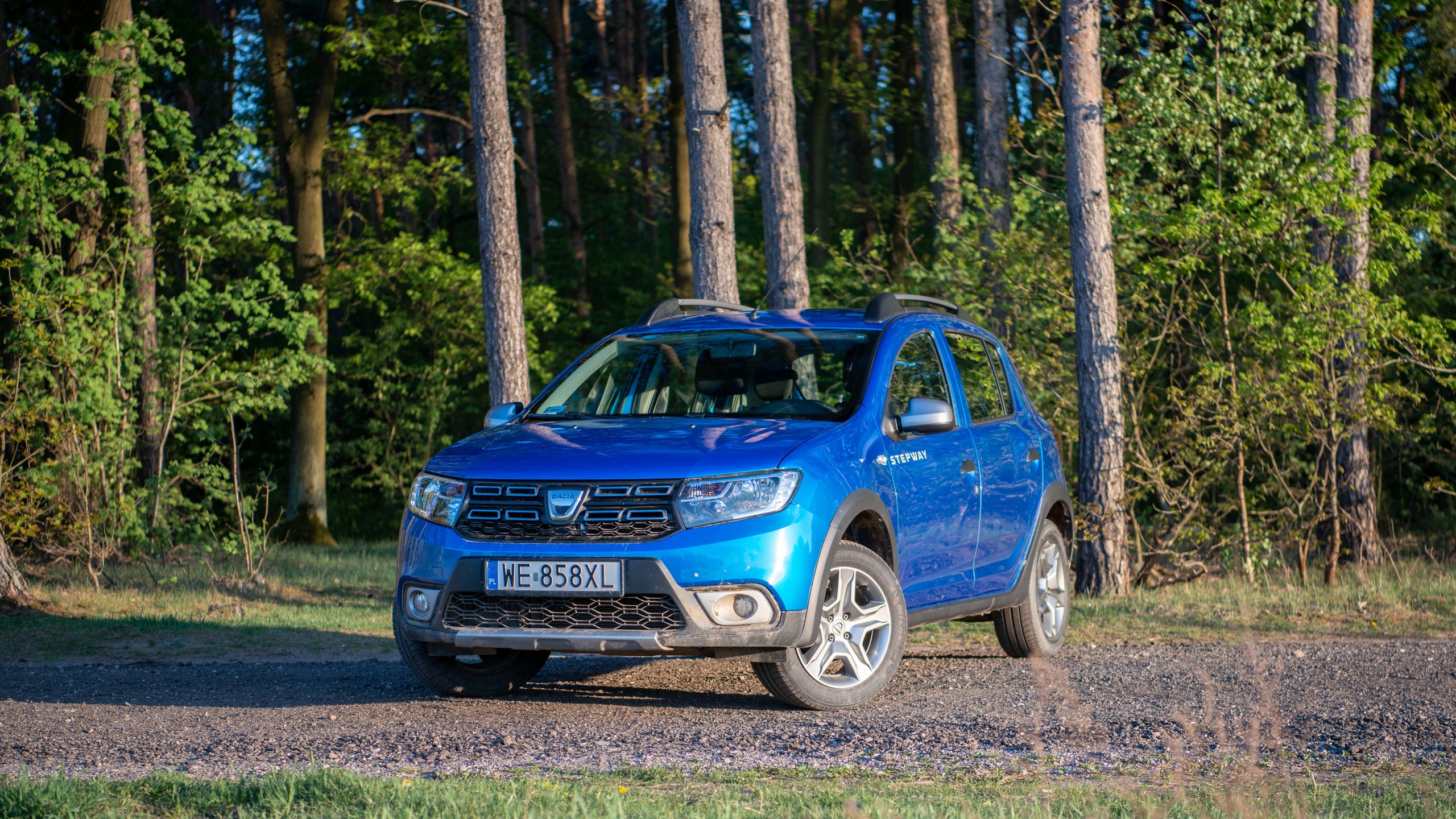 Szuter, droga dojazdowa do działki - Sandero Stepway potrafi wiele więcej