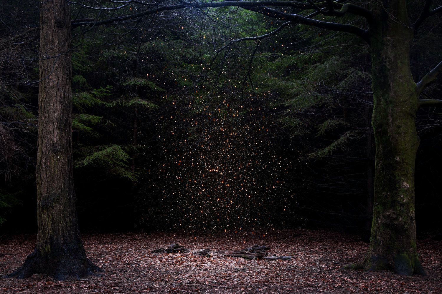 Dwóch Polaków wśród zwycięzców prestiżowego konkursu Magnum Photography Awards 2017 46
