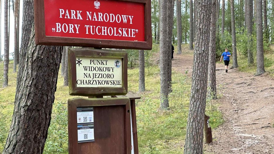 Piękne Bory Tucholskie. Czerwony szlak rowerowy Kaszubskiej Marszruty