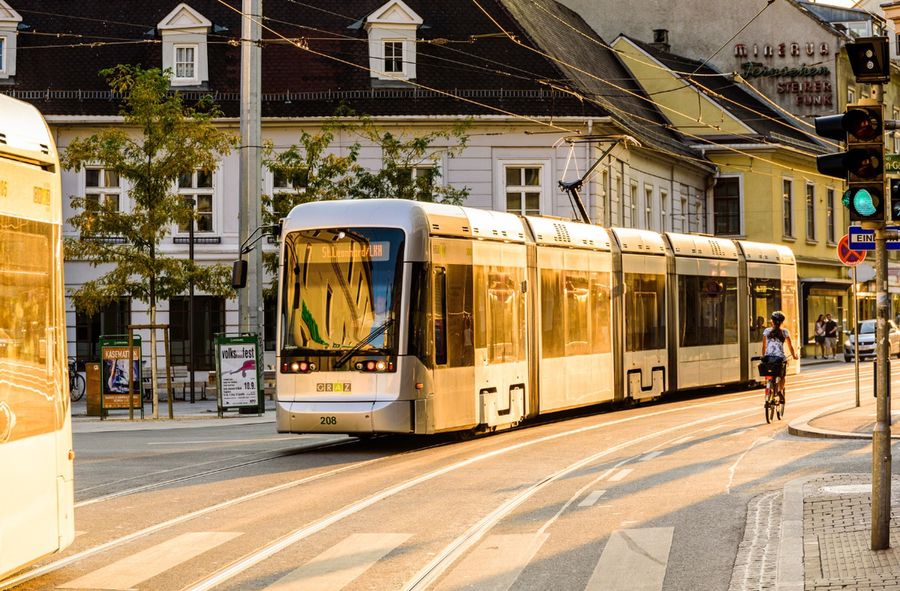 Idea "zielonych miast". Jak dążyć do ekologicznego rozwoju metropolii?